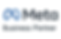meta business partner badge.png